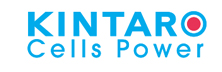 Kintaro Cells Power International
