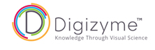 Digizyme
