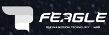 Feagle - Top Startups In Korea Feagle